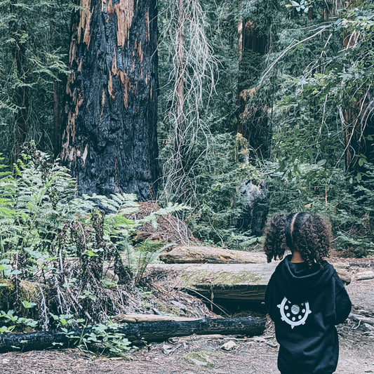 A young girl with curly hair stands amongst the red wood forest wearing a Cali8Fold sweater