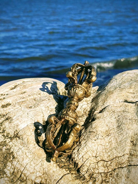 Buddhist relic varja sitting on piece of wood, with water in background