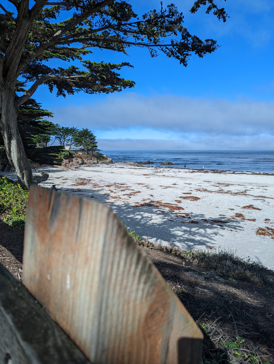 Butterfly House in Pacific Grove. A popular Freediving location