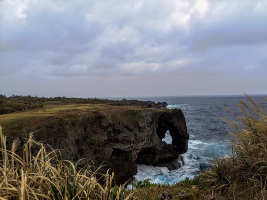 Rocky cliff overlooking a cove with waves crashing against shore, cloudy skies, cali8fold