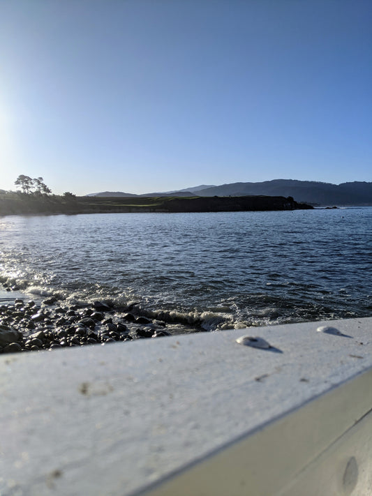 White dock in foreground, background is cove, rocky beach and trees on the hill, just outside the water