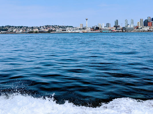 Waterside view of Seattle, dark blue water, small waves at bottom of picture.  Cali8Fold