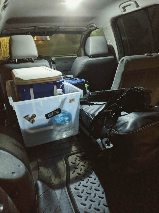 Freediving gear in the back of car