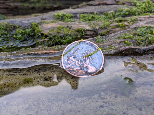 copper coin in water, moss covering the face of coin, coin has stamped picture of the kraken see creature