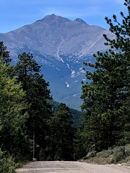 Trees in foreground, dirt road running through trees, mountain in background with path running up face