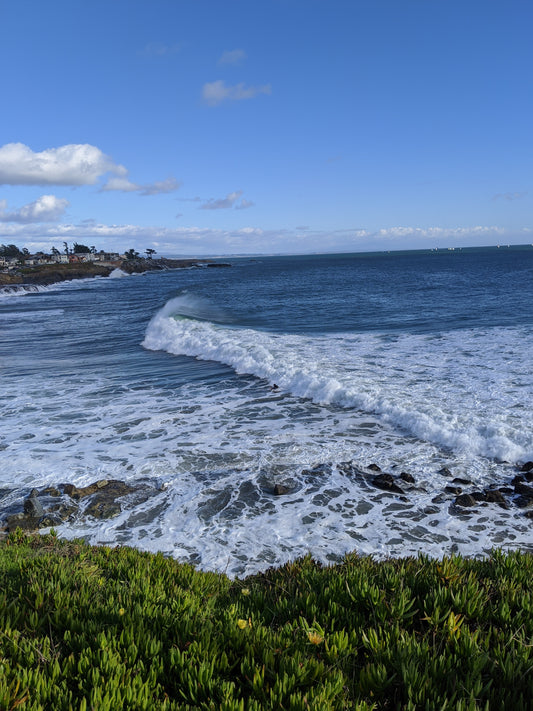 Santa Cruz shoreline, clear skies, waves rolling in